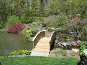 The fish are safe - can you see them? The deck preparation and preservative application preserved and protected this beautiful bridge.